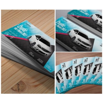 2x6 Small Flyer Printing